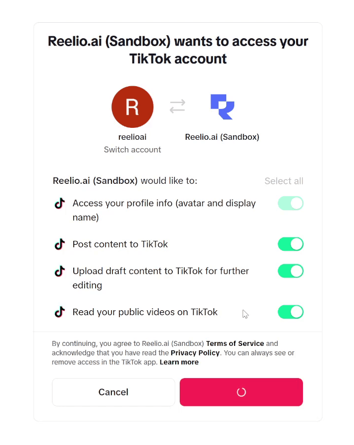 TikTok authorization screen showing requested permissions
